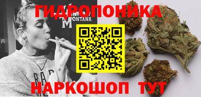 скорость Бийск